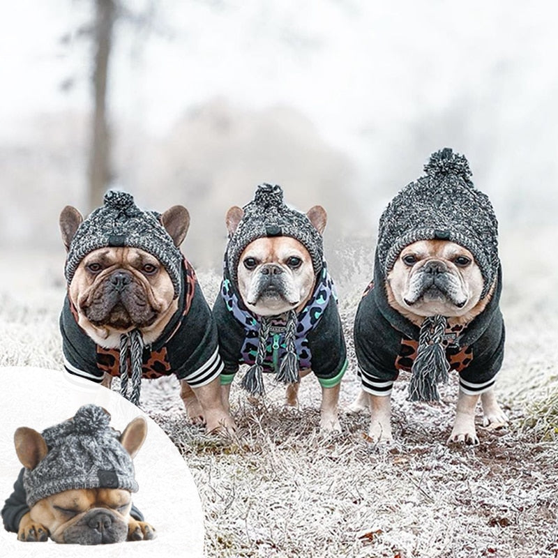 Polar Dog Pom Pom Hat