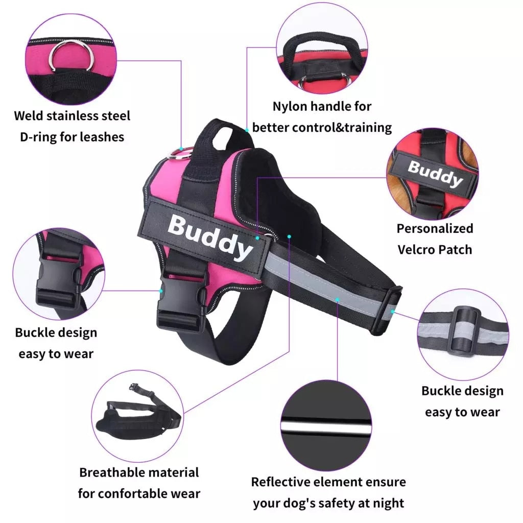 Personalized Safety Dog Harness