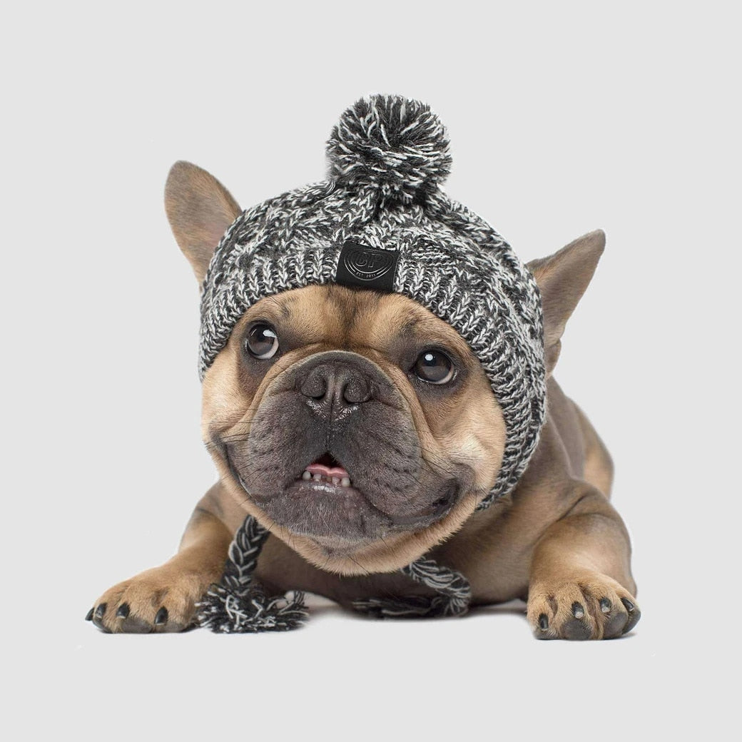 Polar Dog Pom Pom Hat