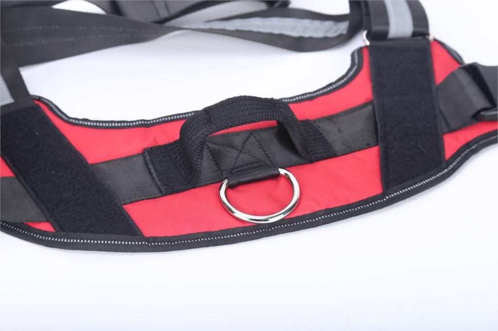 Personalized Safety Dog Harness