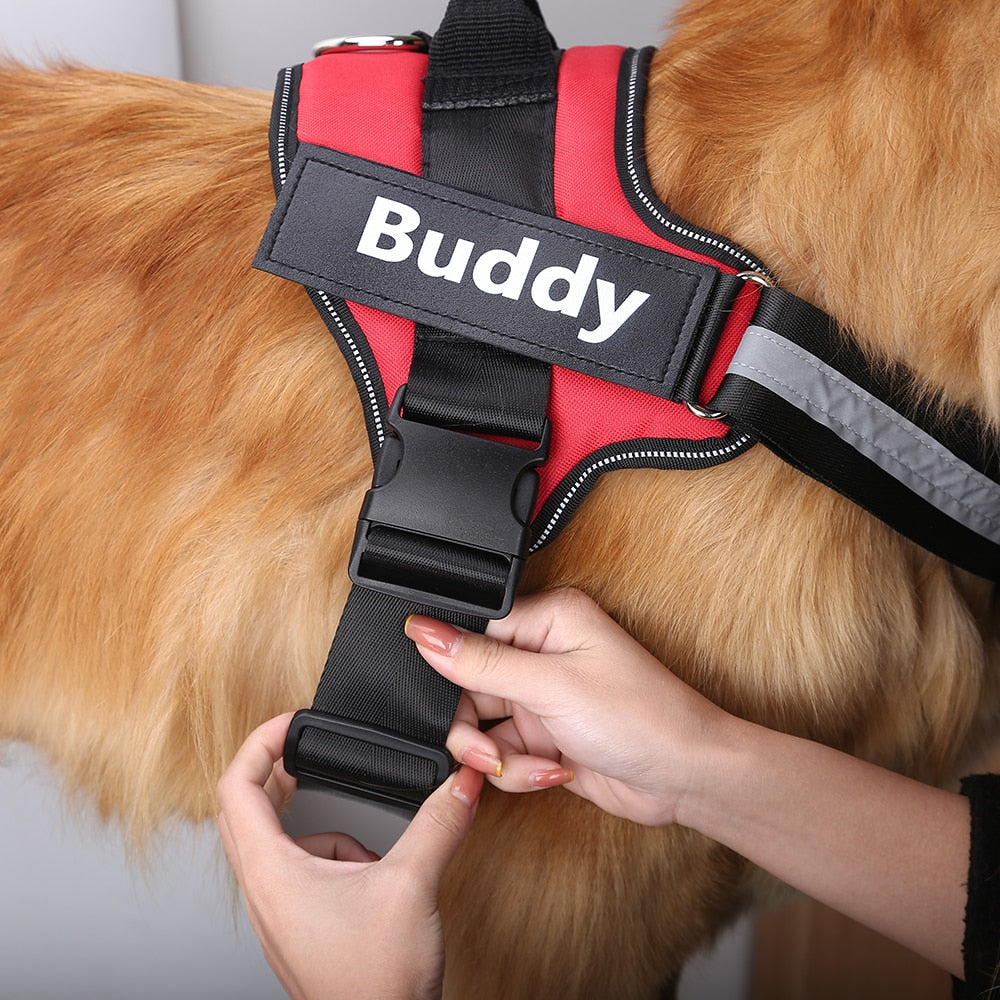 Personalized Safety Dog Harness