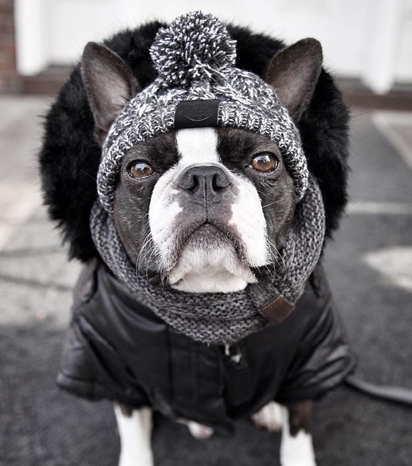 Polar Dog Pom Pom Hat