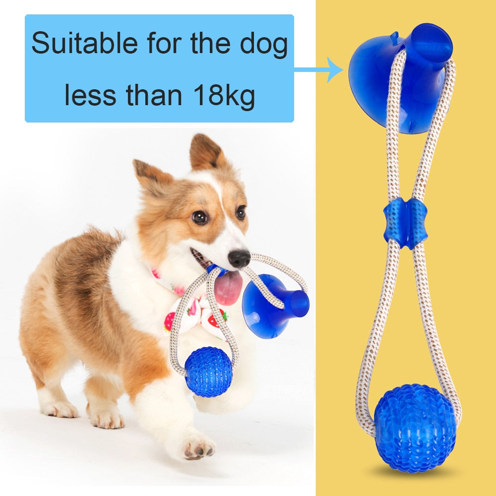 Self Amusing Dog Toy