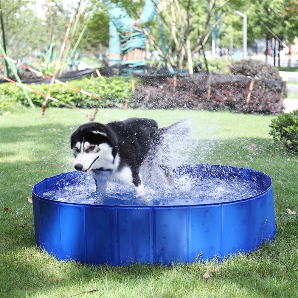 Foldable Dog Swimming Pool