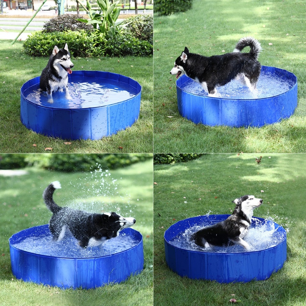 Foldable Dog Swimming Pool