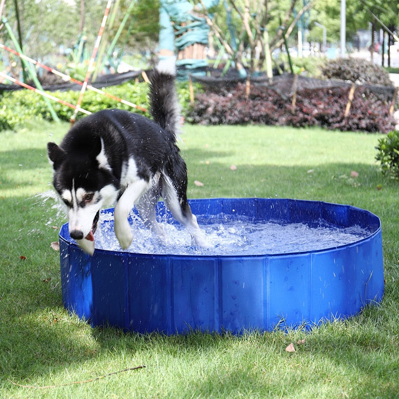 Foldable Dog Swimming Pool