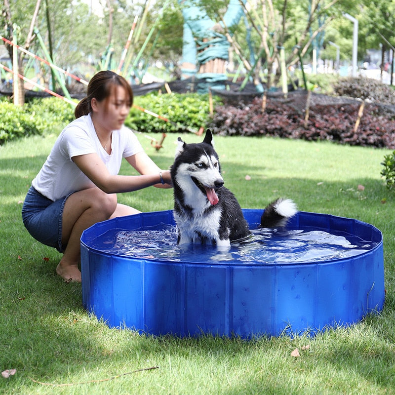 Foldable Dog Swimming Pool