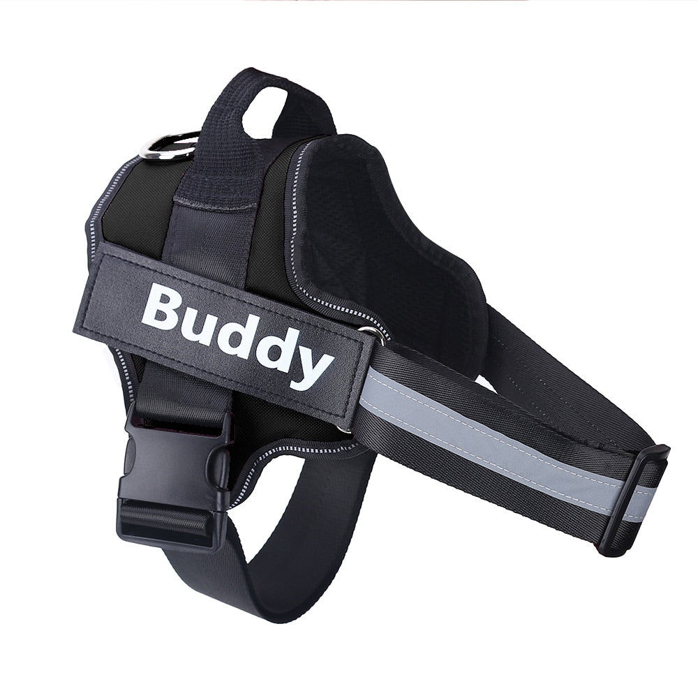 Personalized Safety Dog Harness