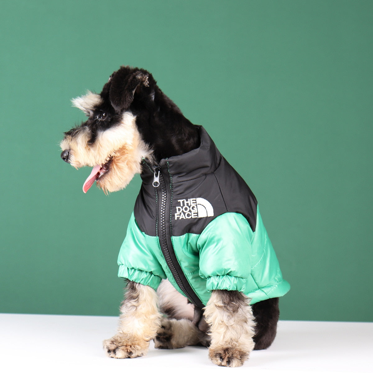 Winter Dog Jacket