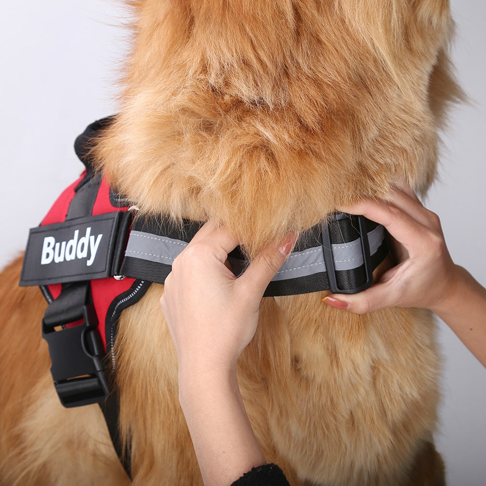 Personalized Safety Dog Harness