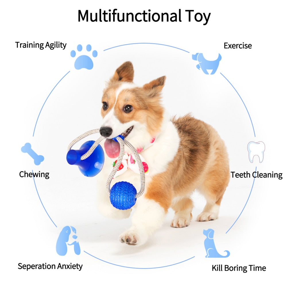 Self Amusing Dog Toy