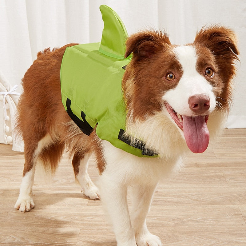 Dog Safety Vest