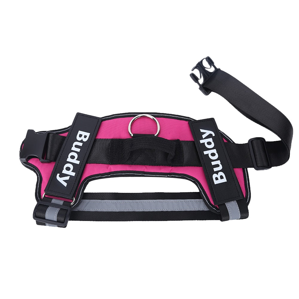 Personalized Safety Dog Harness