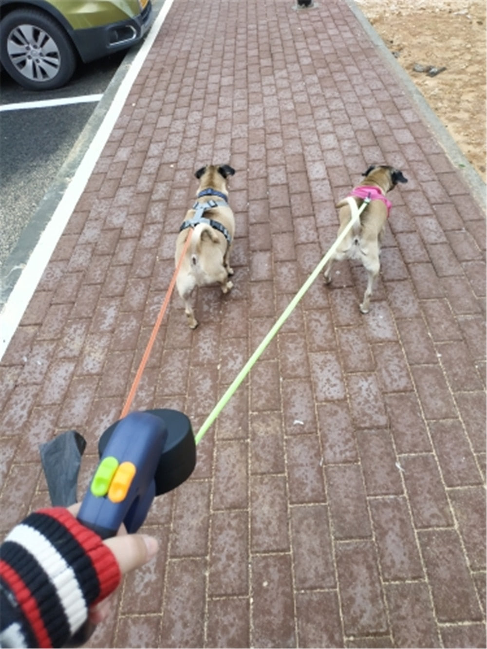 Retractable Dog Leash