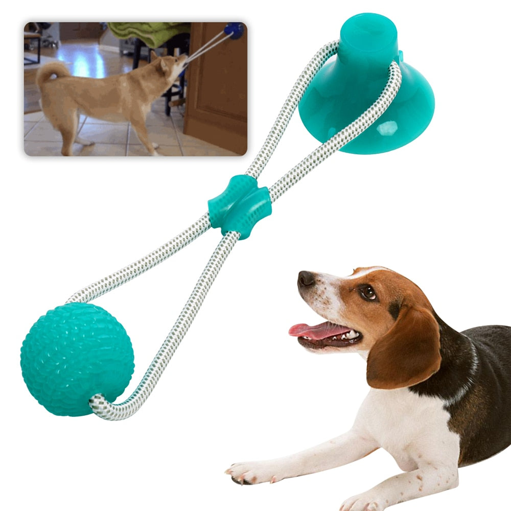 Self Amusing Dog Toy