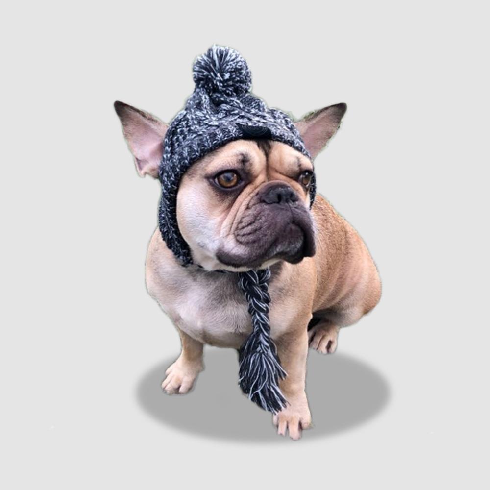 Polar Dog Pom Pom Hat