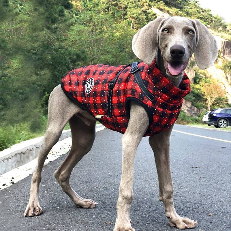 Waterproof Dog Winter Jackets