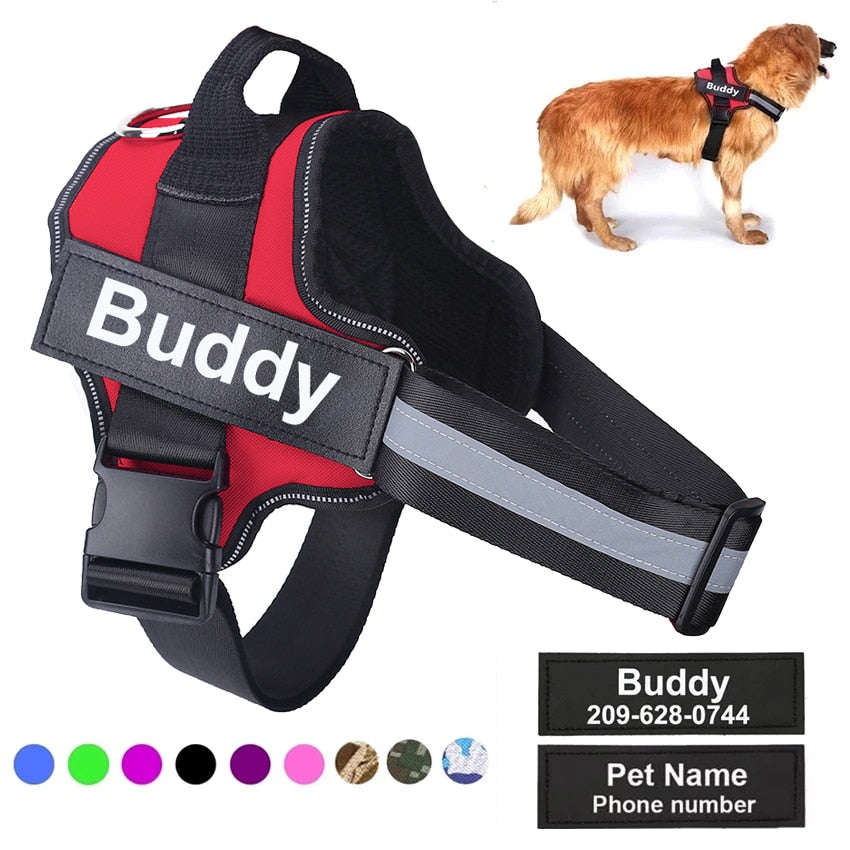 Personalized Safety Dog Harness