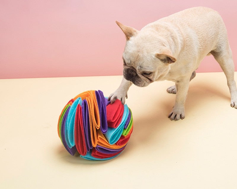 Snuffle Dog Ball