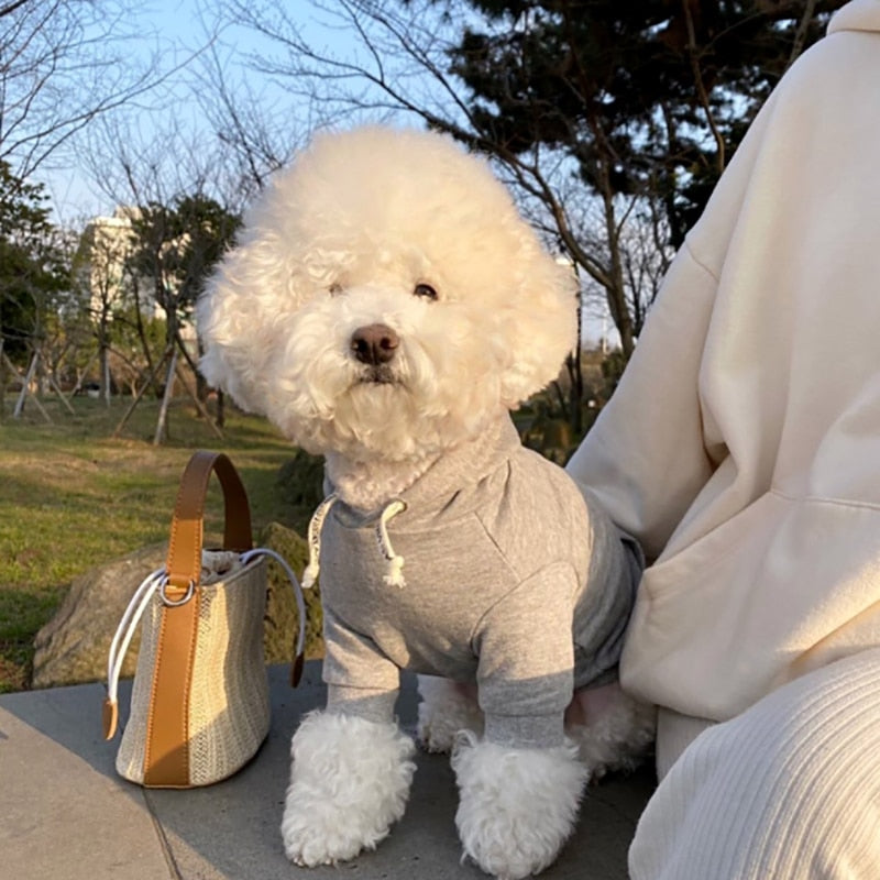 Dog cool hoodie