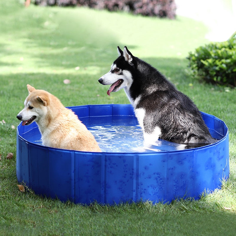 Foldable Dog Swimming Pool