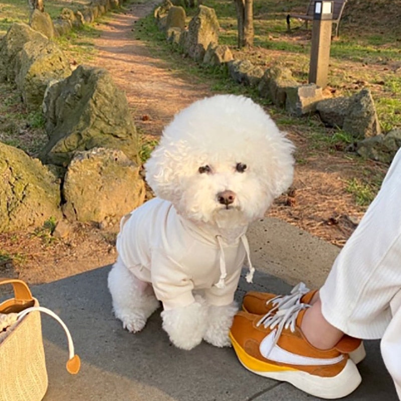 Dog cool hoodie