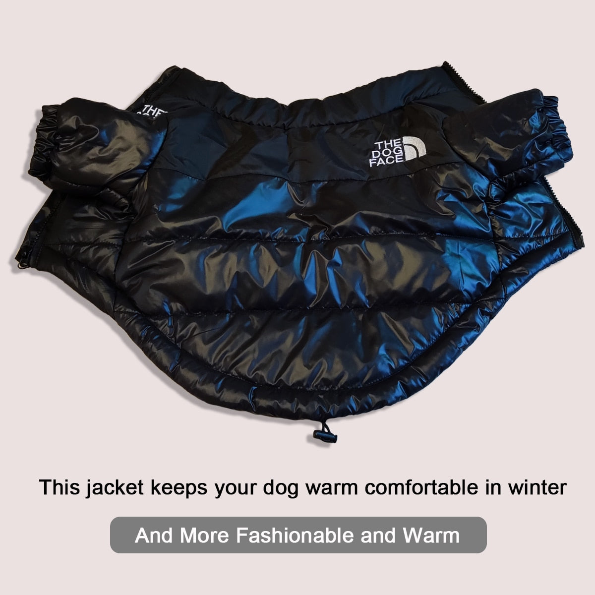 Winter Dog Jacket