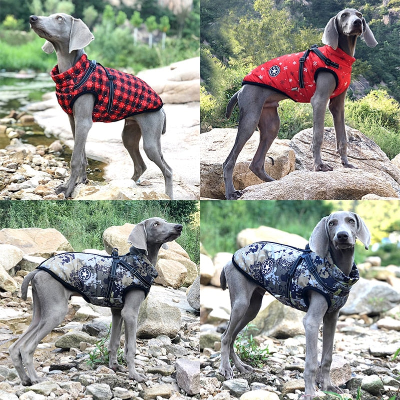 Waterproof Dog Winter Jackets