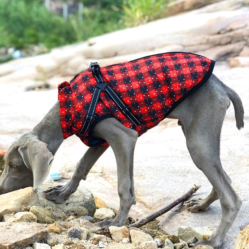 Waterproof Dog Winter Jackets