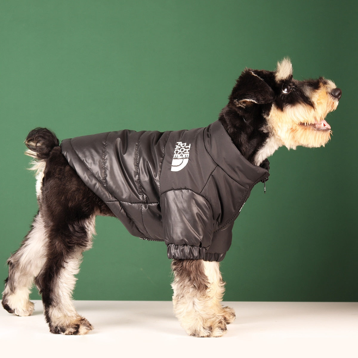 Winter Dog Jacket